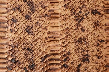Obraz premium Python skin scale pattern