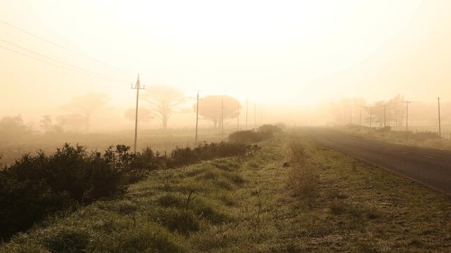 fog settling on highway at sunrise, Stanford, South Africa