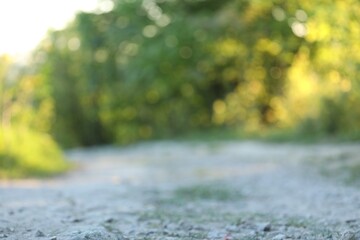 Fototapeta premium Ground against blurred green background, selective focus