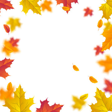 Autumn leaves border frame on white background with falling blurred maple leaf elements