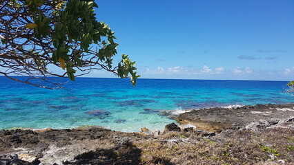 Coast of Fakarava, Tuamotu Islands, French Polynesia © Aurora