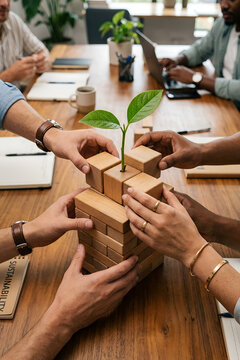 Diverse business team building tower with wooden blocks and small plant. Corporate collaboration and teamwork for green ecology and sustainable development. Professional office environment