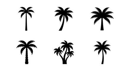 Fototapeta premium Set of black silhouettes of palm trees