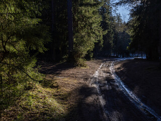 Muddy forest road leads through tall pine trees toward distant lake, showing quiet wilderness, solitude, calm mood, natural light, spring thaw, peaceful nomadic journey and sense of escape. © MyJuly
