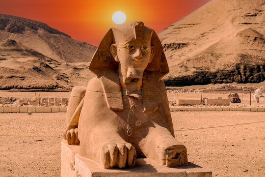 Sphinx on the grounds of temple of Hatshepsut, Luxor, Egypt
