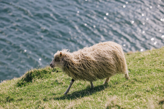 Faroe Islands