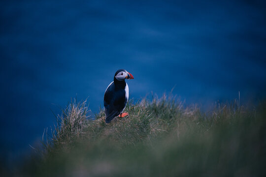 Faroe Islands