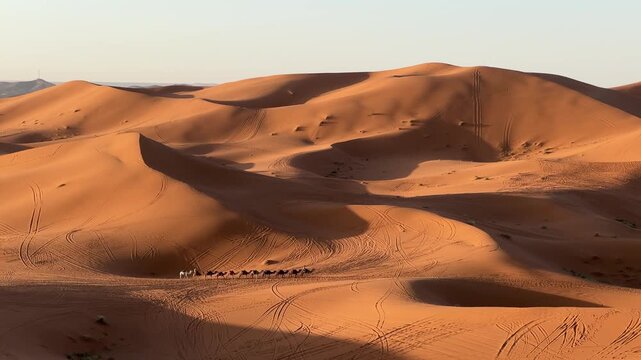 Camel caravan crossing illuminated Sahara dunes at sunrise near Merzouga, Morocco