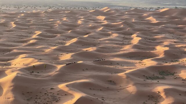 Golden sunrise over Sahara sand dunes near Merzouga, Morocco desert