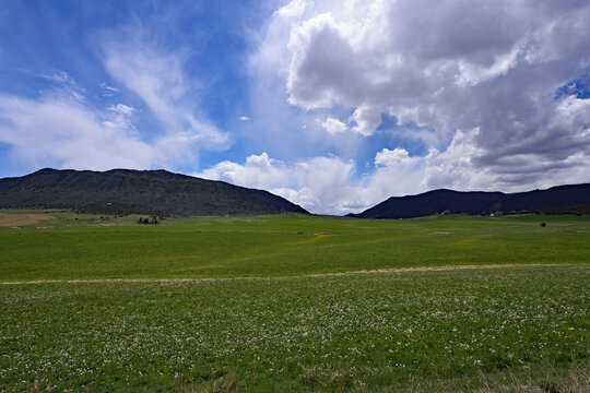 Much needed rain over agricultural fields of Grass Valley in Garfield County in western Colorado under developing storm clouds.