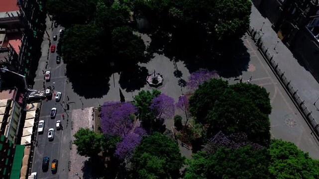 Puebla Zocalo Historic Plaza with Palacio Municipal Architecture and Central Fountain Surrounded by Green Trees Aerial Flying Drone POV Shot in Mexico
