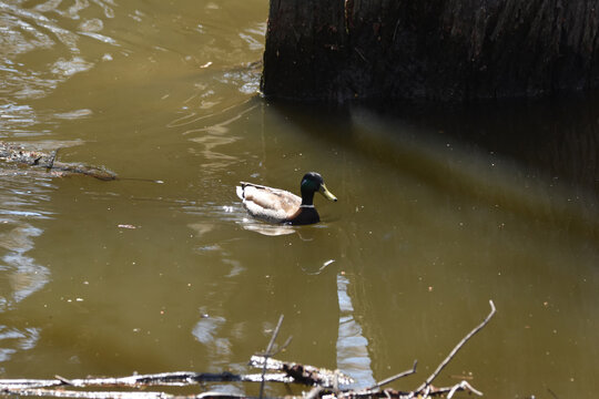 Parc Maritime Nicolet 9 Mai 2026