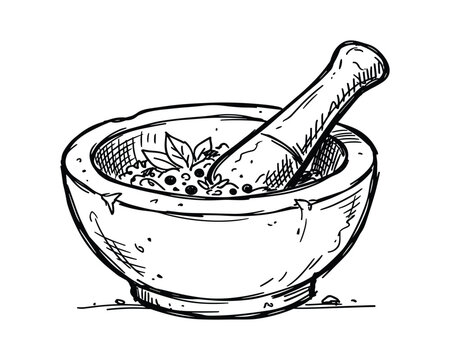 Hand drawn mortar and pestle sketch grinding herbs and spices object vintage kitchen tool on transparent background.
