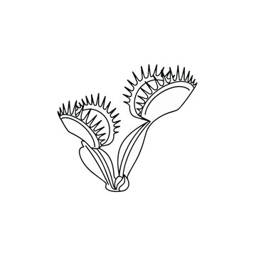 Venus Flytrap Line Art Illustration Carnivorous Plant Vector