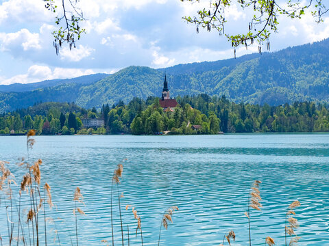 Beautiful day with blue sky, sunshine and emerald green water of Lake Bled and Bled Castle and the view of Church of the Assumption of the Blessed Virgin Mary on the island in the middle of the lake 
