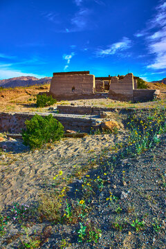 Abandoned Ashford Mill Ruins With Desert Wildflowers And Mountains Under Blue Sky