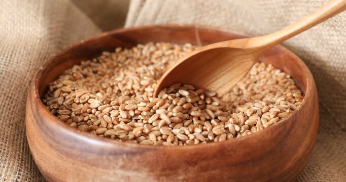 Woman taking wheat grains with wooden spoon on burlap fabric, closeup