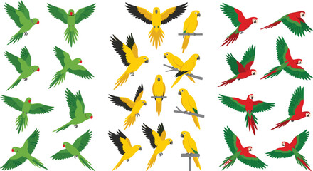 Flat tropical parrot bird vector character collection set with colorful flying and perched macaws parakeets and conures isolated on white background © MDSaiful