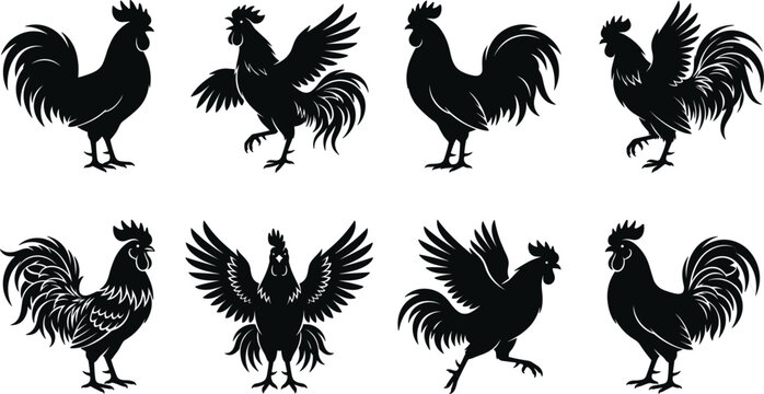 Vintage black rooster and cockerel silhouette vector element collection set with crows and standing farm poultry birds isolated on white background