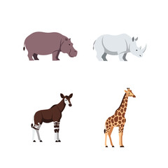 Obraz premium African Wild Animals Collection with Hippopotamus Rhinoceros Okapi and Giraffe Illustration Isolated on White