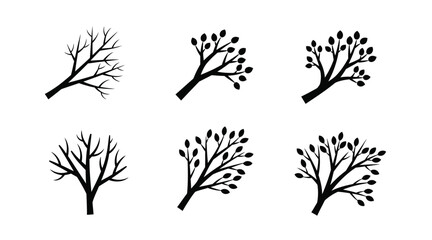 Fototapeta premium Set of bare and leafy tree branch silhouettes representing different seasons and growth with silhouette
