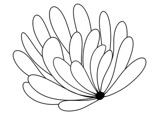 digital hand draw for coloring page seaweed © Pink lotus 