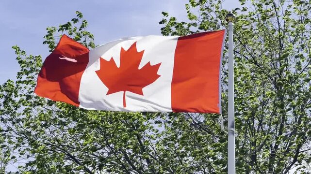 canadian flag waving in the wind with sound - drapeau canadien flottant au vent avec son