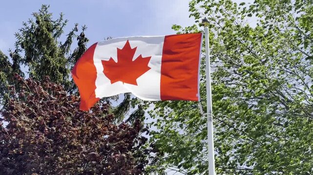 canadian flag waving in the wind with sound - drapeau canadien flottant au vent avec son