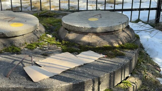 A manhole cover in close-up with cat food, a concrete side overgrown with moss, a metal fence in the background, scattered food