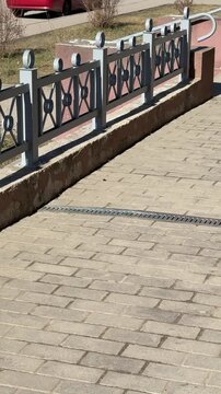 Patterned metal grate on paving stones, close-up view of linear drainage channel embedded in concrete pavers, rusted slats