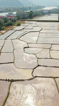 Vertical screen Aerial Flooded Rice Paddies Reflecting Sunlight, Drone Perspective Reveals Patchwork Of Waterfilled Fields, Narrow Earthen Dikes, Distant Village By River And Misty Hills,