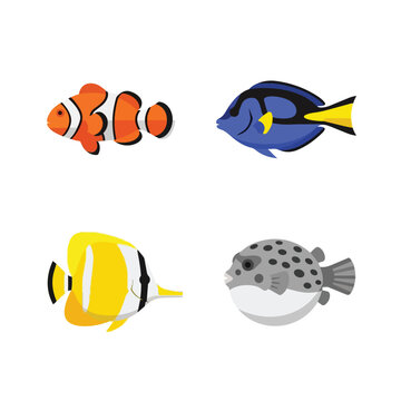 Collection of Tropical Saltwater Fish Illustrations including Clownfish Blue Tang Butterflyfish and Pufferfish