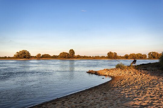 Shore, beach on the Elbe, Lower Saxony Elbe floodplain biosphere reserve, evening sun, Bleckede, Lower Saxony, Germany