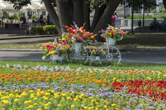 A white bicycle decorated with colourful flowers stands in a blooming park, Bicycle decorated with flowers in the city centre, Russe, Rousse, Ruse, Pyce, Bulgaria