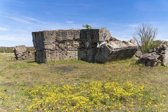 Remains of a bunker in the Sielmanns Naturlandschaft D&ouml;beritzer Heide nature reserve, Havelland, Brandenburg, Germany