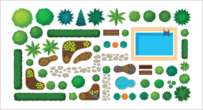 Garden Landscape Plan With Trees Pool And Flowerbeds Vector Illustration