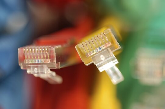 Two plugs of a coloured network cables for computer