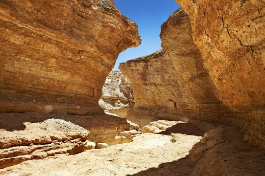 Mides Canyon near the oasis of Mides, Sahara desert, Tunisia