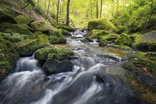 The Moosalb stream in the forest in the Karlstal gorge. Rocks and moss. Long exposure. Karlstal Gorge Nature Reserve, Karlstal, Palatinate Forest, Rhineland-Palatinate, Germany