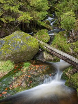 The Kreuzbach, small mountain stream flows over stones covered with moss, Bavarian Forest, Lower Bavaria, Bavaria, Germany