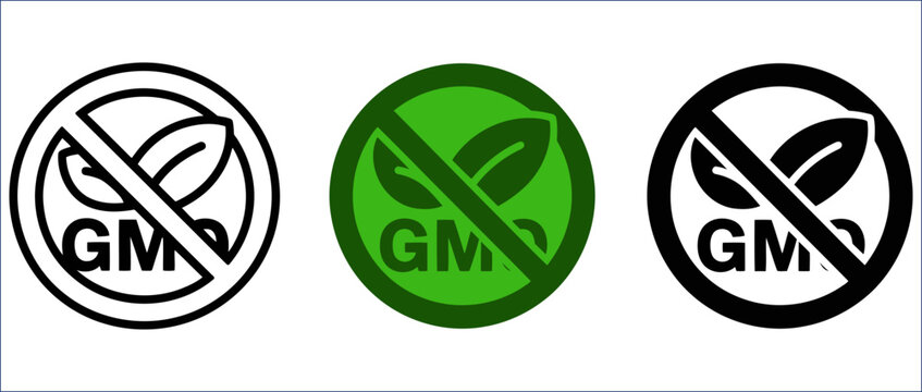 Non GMO Sign in Modern Minimal Badge Style with Eco Food Certification Design. Symbolizing organic farming, consumer safety, natural ingredients, healthy lifestyle and food transparency awareness