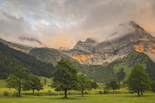 German name (Latin name), Gro&szlig;er Ahornboden, Karwendel Mountains, Tyrol, Austria