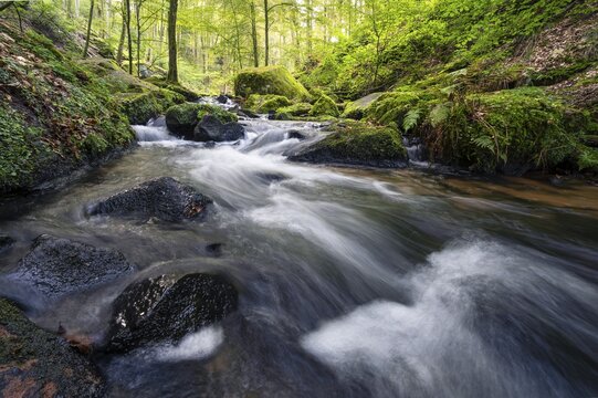 The Moosalbe stream in the forest in the Karlstal gorge. Rocks and moss. Long exposure. Karlstal Gorge Nature Reserve, Karlstal, Palatinate Forest, Rhineland-Palatinate, Germany