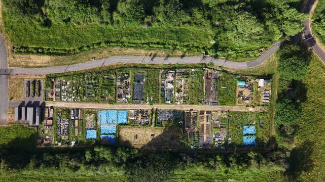 Aerial drone footage of allotment plots in Three Mile Cross, Berkshire, showcasing community gardening spaces, cultivated land, and organised vegetable plots