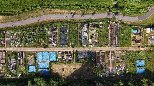 Aerial drone footage of allotment plots in Three Mile Cross, Berkshire, showcasing community gardening spaces, cultivated land, and organised vegetable plots