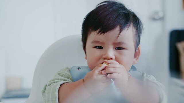 Asian Baby Using Finger to Feed Herself a Food with Baby Led Weaning Concept.Cute Asian baby boy eating finger food in high chair.	