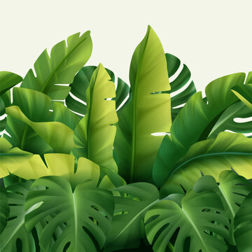 Realistic vector tropical foliage background with lush green monstera and banana leaves forming a dense botanical border. Exotic jungle plants with copy space on a light background.