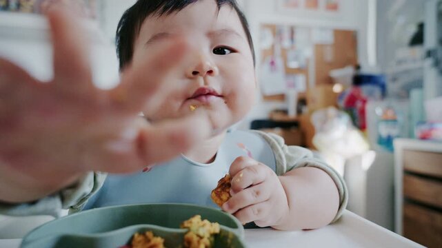 Asian Baby Using Finger to Feed Herself a Food with Baby Led Weaning Concept.Cute Asian baby boy eating finger food in high chair.	
