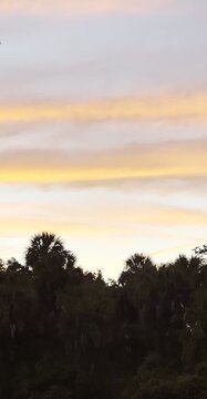Colorful Sunset Sky with Soft Cloud Layers