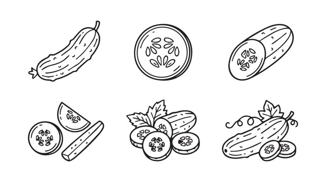 Fresh cucumber slices and pieces hand drawn line art icons with cucumber vegetable ingredient nutrition botanical illustration collection monochrome isolated appetizer culinary preparation